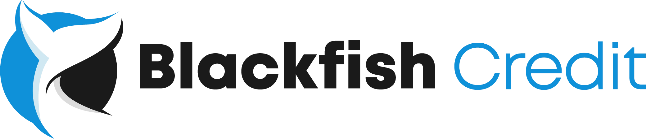 Client Nurturing System - We Know Credit Repair BigCatFinancial_BigCatFinancial-weknowcreditrepair-weknowcreditrepair-blackfishcredit-500pxwide.webp