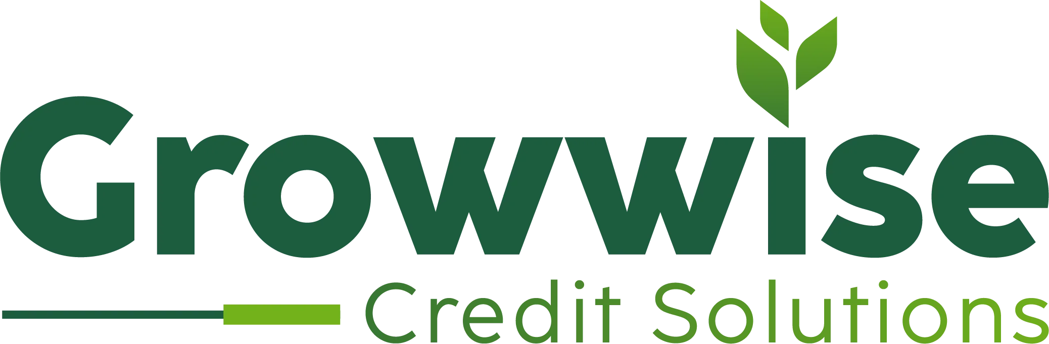 Client Nurturing System - We Know Credit Repair BigCatFinancial_BigCatFinancial-weknowcreditrepair-weknowcreditrepair-growwisecreditsolutions-500pxwide.webp